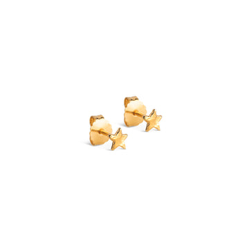 Star Energy Gold Studs